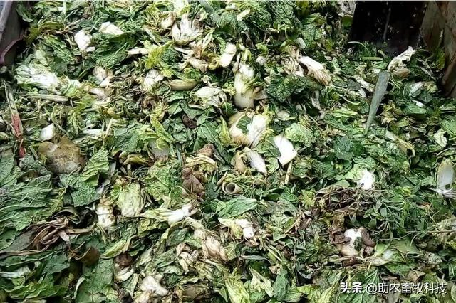 果蔬廢棄物垃圾怎樣進行科學(xué)資源化無害化減量化處理？